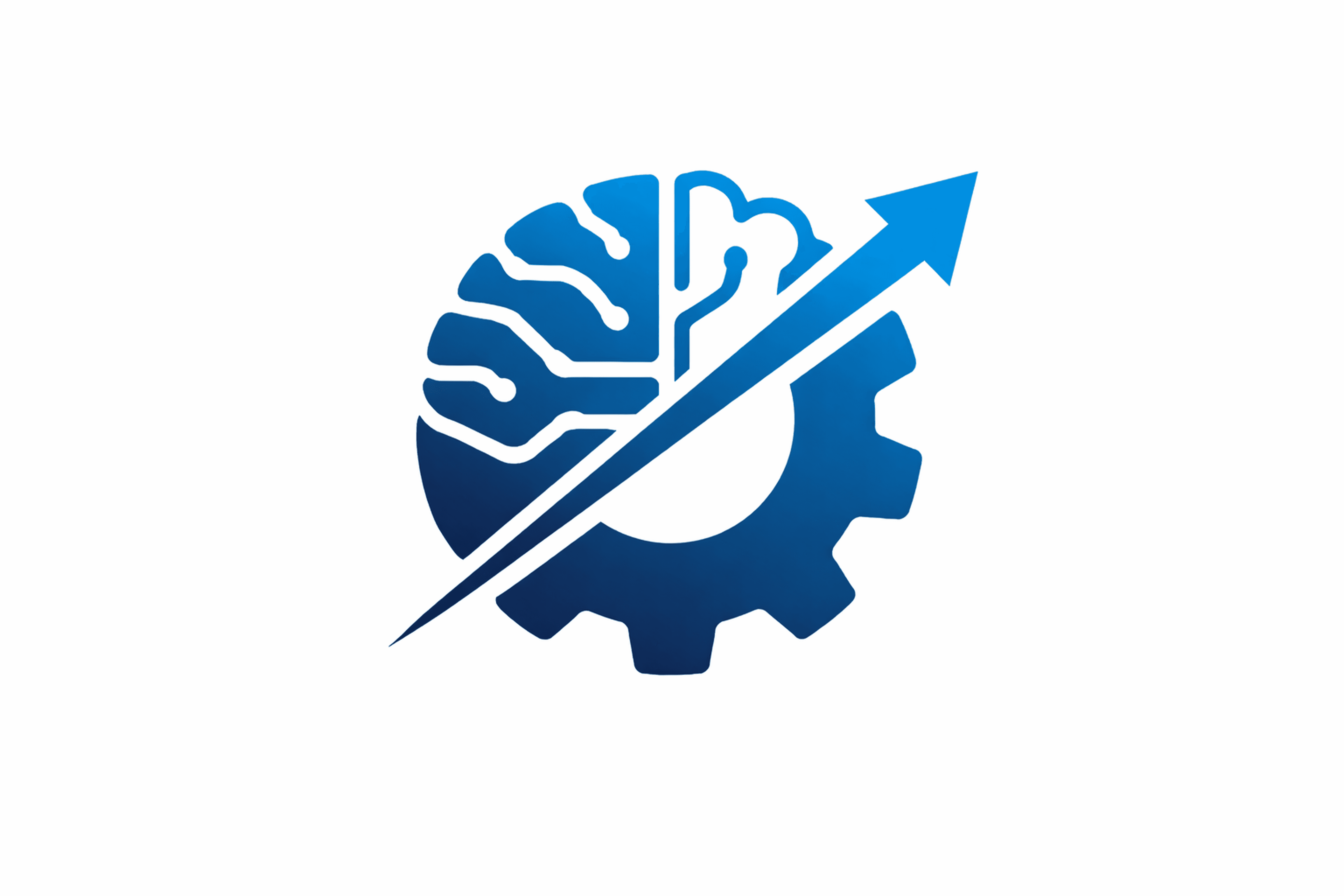 DSW Logo